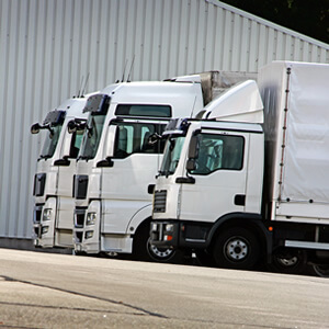 Bild von Sandra Erdmann Kühltransporte GmbH